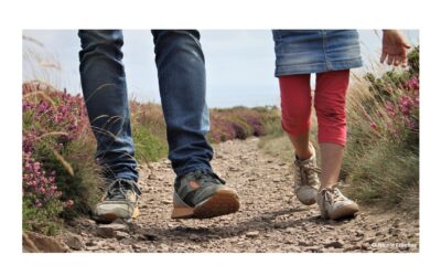 Avondvierdaagse Rucphen